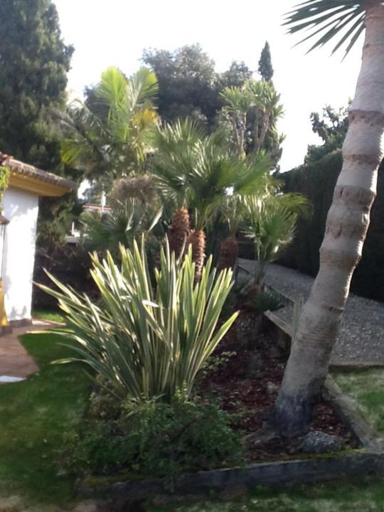 Ferienwohnung Casa Las Ciguenas Vejer de la Frontera Exterior foto